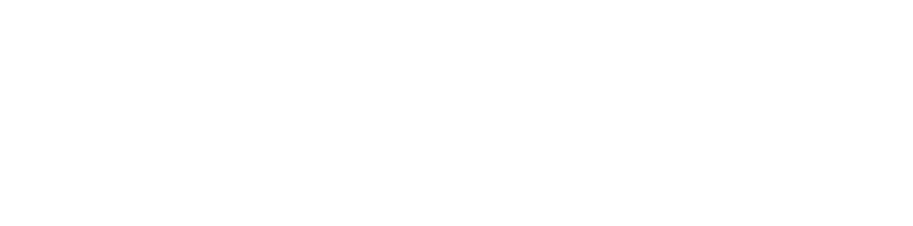 Delix Logo Reverse